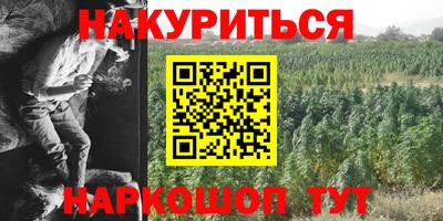 дмт Будённовск