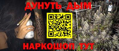 дмт Будённовск